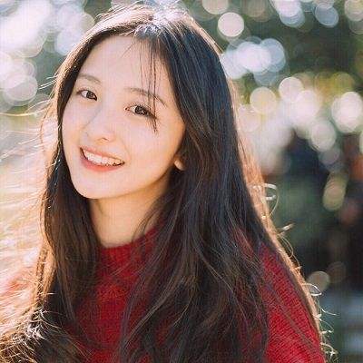 霸王的大陆bt版下载